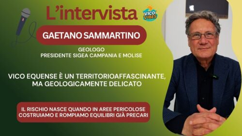 Intervista a Gaetano Sammartino