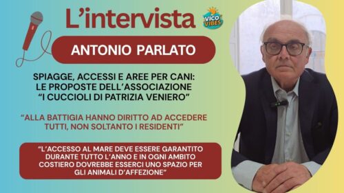 PAD Vico Equense: Antonio Parlato spiega le osservazioni de “I Cuccioli di Patrizia Veniero”