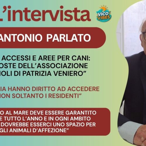 PAD Vico Equense: Antonio Parlato spiega le osservazioni de “I Cuccioli di Patrizia Veniero”