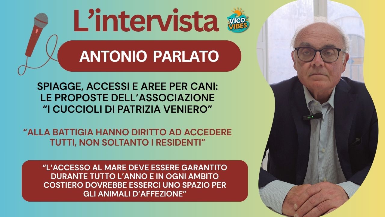 PAD Vico Equense: Antonio Parlato spiega le osservazioni de “I Cuccioli di Patrizia Veniero”